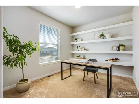 2142 Bouquet Dr, Windsor, CO 80550 photo 4