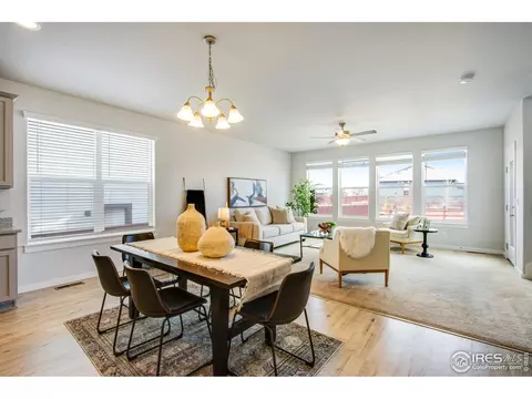 2142 Bouquet Dr, Windsor, CO 80550 photo 10