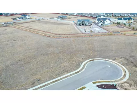 1505 Flowering Tree Ct, Windsor, CO 80550 photo 3