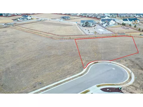 1505 Flowering Tree Ct, Windsor, CO 80550 photo 4
