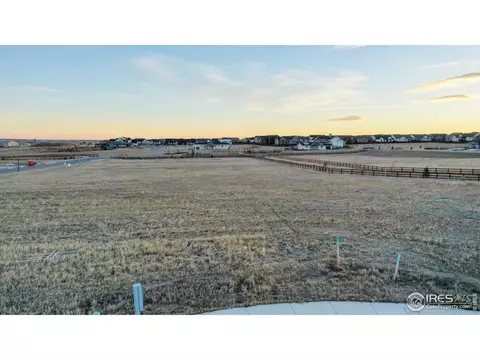 1505 Flowering Tree Ct, Windsor, CO 80550 photo 9