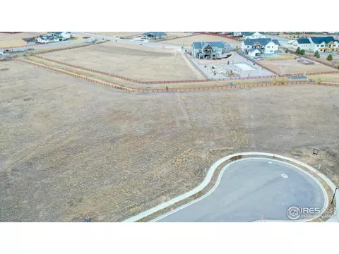 1505 Flowering Tree Ct, Windsor, CO 80550 photo 6