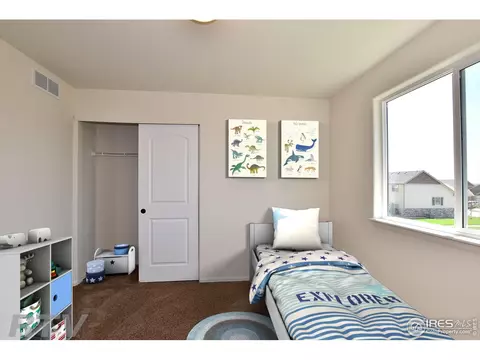 943 Greenbrook Dr, Windsor, CO 80550 photo 8