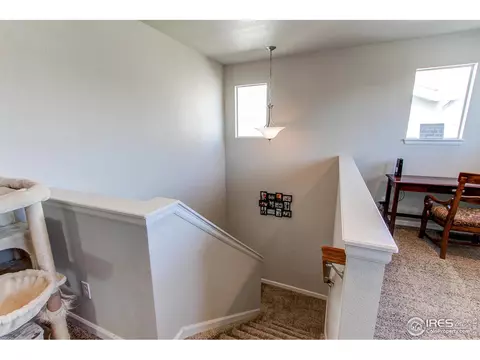 3574 E 140th Pl, Thornton, CO 80602 photo 15