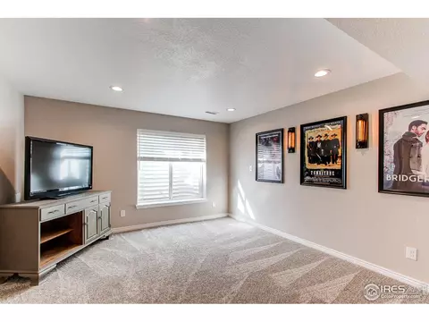 3574 E 140th Pl, Thornton, CO 80602 photo 31
