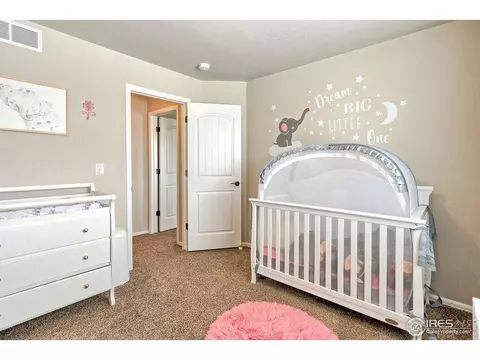 930 Mt Andrew Dr, Windsor, CO 80550 photo 22