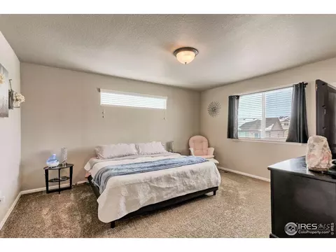 930 Mt Andrew Dr, Windsor, CO 80550 photo 16