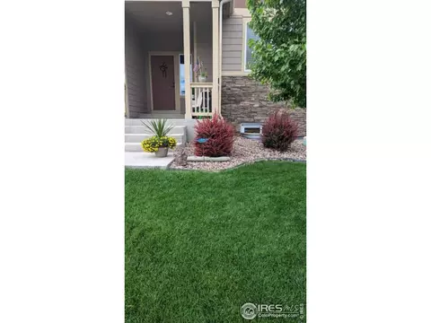 930 Mt Andrew Dr, Windsor, CO 80550 photo 6