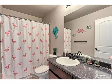 930 Mt Andrew Dr, Windsor, CO 80550 photo 25