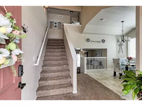 930 Mt Andrew Dr, Windsor, CO 80550 photo 7