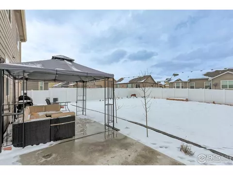930 Mt Andrew Dr, Windsor, CO 80550 photo 33