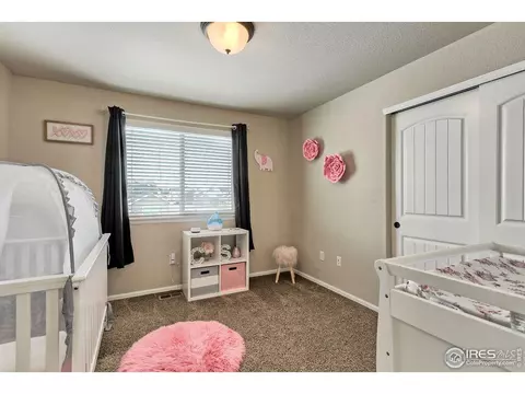 930 Mt Andrew Dr, Windsor, CO 80550 photo 21