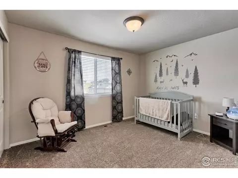 930 Mt Andrew Dr, Windsor, CO 80550 photo 23