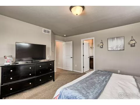 930 Mt Andrew Dr, Windsor, CO 80550 photo 20