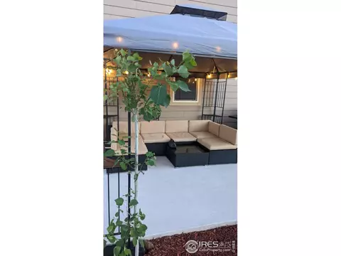 930 Mt Andrew Dr, Windsor, CO 80550 photo 36