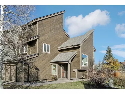 110 Badger Ct, Silverthorne, CO 80498 photo 2