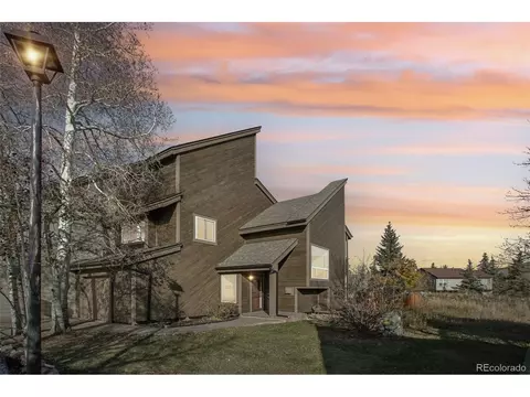 110 Badger Ct, Silverthorne, CO 80498 photo 34