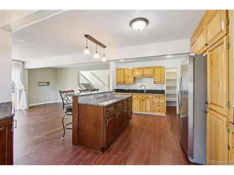 110 Badger Ct, Silverthorne, CO 80498 photo 9