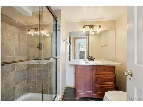 110 Badger Ct, Silverthorne, CO 80498 photo 11
