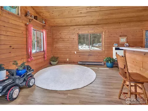 108 Moon Dance Ln, Black Hawk, CO 80422 photo 12