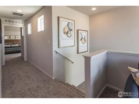 5212 Ribault St, Timnath, CO 80547 photo 22