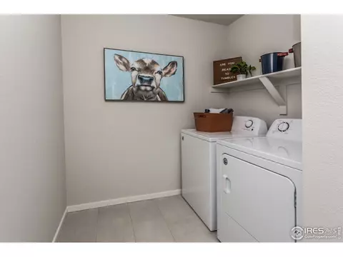 5212 Ribault St, Timnath, CO 80547 photo 36