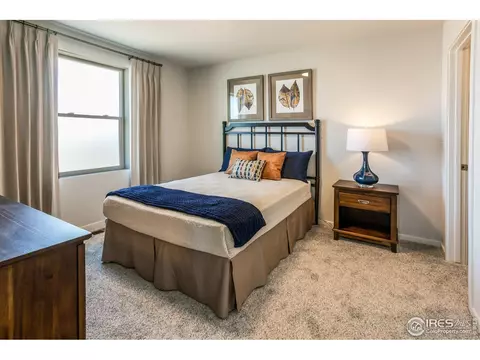5212 Ribault St, Timnath, CO 80547 photo 27