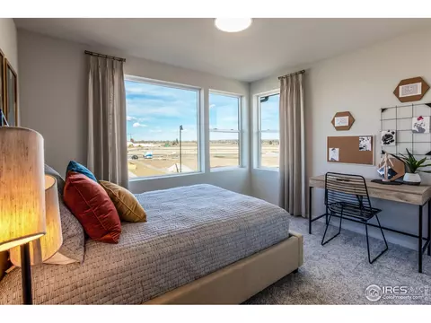 5212 Ribault St, Timnath, CO 80547 photo 25