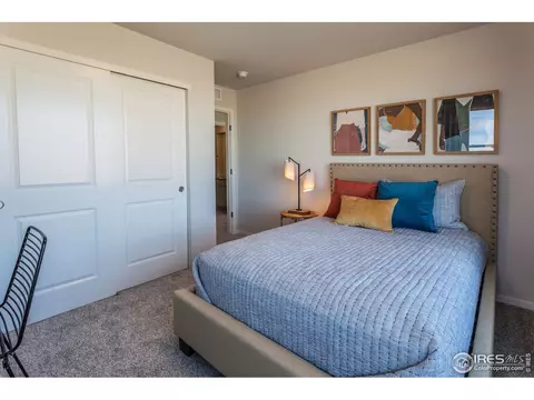5212 Ribault St, Timnath, CO 80547 photo 28