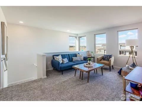 5212 Ribault St, Timnath, CO 80547 photo 24