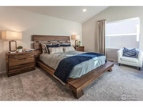 5212 Ribault St, Timnath, CO 80547 photo 32