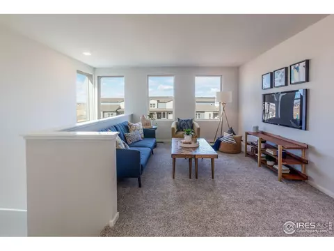 5212 Ribault St, Timnath, CO 80547 photo 23