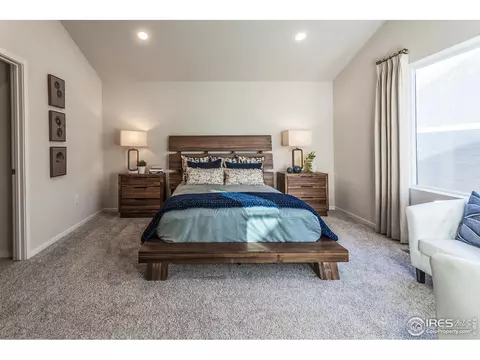 5212 Ribault St, Timnath, CO 80547 photo 31