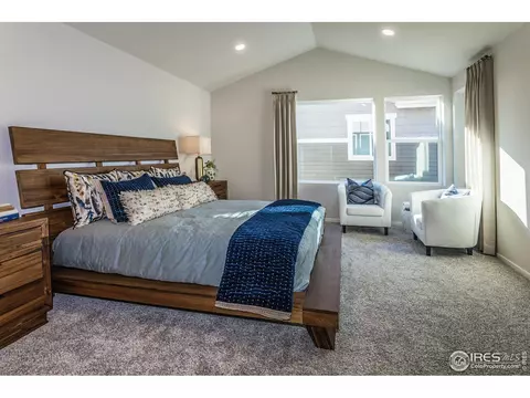5212 Ribault St, Timnath, CO 80547 photo 33
