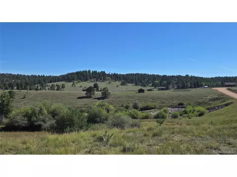 99 Uintah Ridge Rd, Florissant, CO 80816