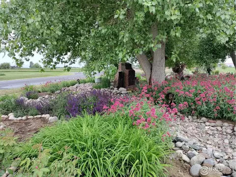 37048 Golden Eagle Ct, Severance, CO 80550 photo 6