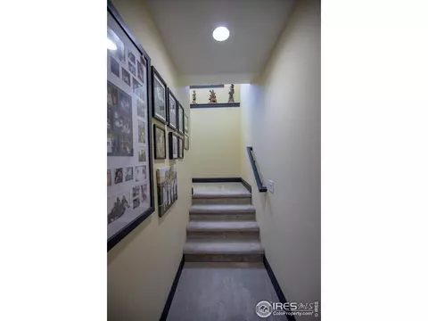 37048 Golden Eagle Ct, Severance, CO 80550 photo 29