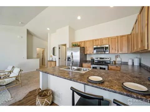 804 Sambar Dr, Severance, CO 80550 photo 8