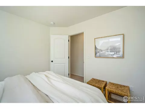 804 Sambar Dr, Severance, CO 80550 photo 18