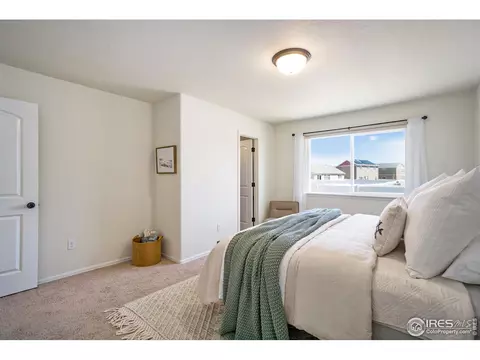 804 Sambar Dr, Severance, CO 80550 photo 14