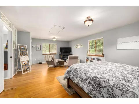 22 Buttermilk Ln, Bailey, CO 80421 photo 13
