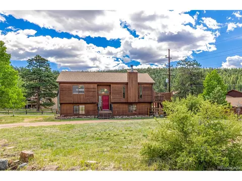 22 Buttermilk Ln, Bailey, CO 80421 photo 1