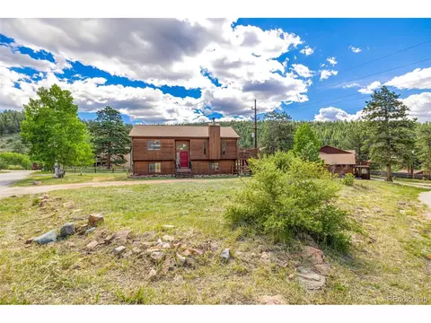 22 Buttermilk Ln, Bailey, CO 80421 photo 3