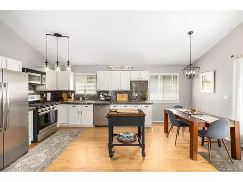 22 Buttermilk Ln, Bailey, CO 80421 photo 8