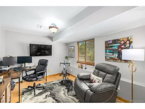 22 Buttermilk Ln, Bailey, CO 80421 photo 21