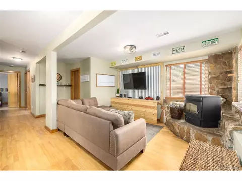 22 Buttermilk Ln, Bailey, CO 80421 photo 16