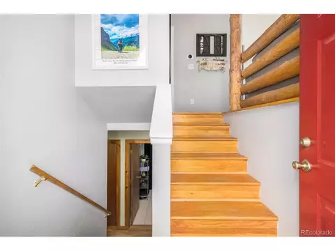 22 Buttermilk Ln, Bailey, CO 80421 photo 4