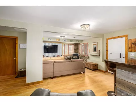 22 Buttermilk Ln, Bailey, CO 80421 photo 15