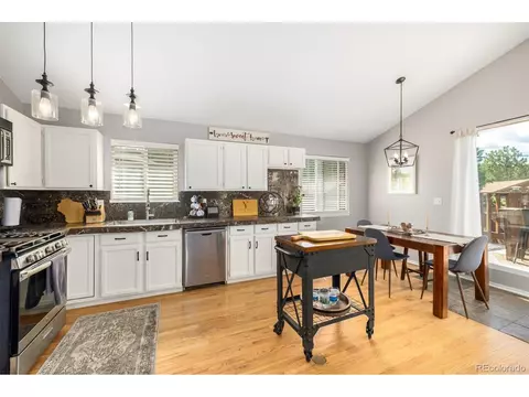 22 Buttermilk Ln, Bailey, CO 80421 photo 11