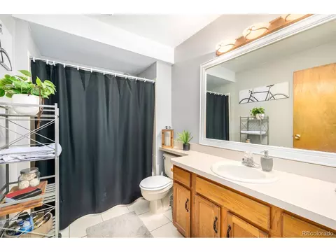 22 Buttermilk Ln, Bailey, CO 80421 photo 18